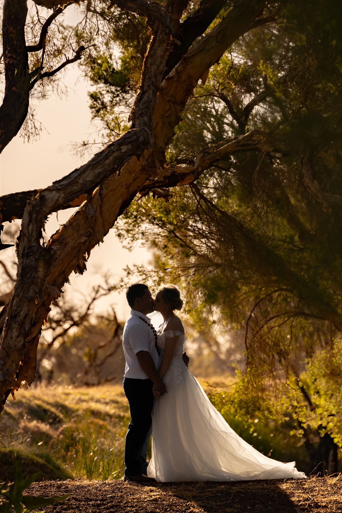 Couple kissing silhouetted under paperbark trees at sunset
