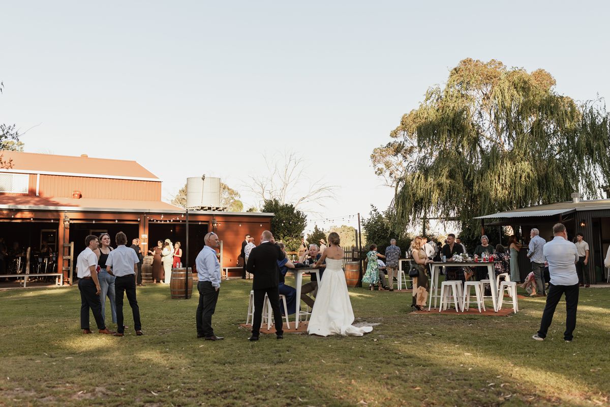 Guests mingling around cocktail tables on the lawn between the barns